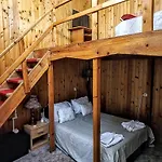 Aki Brasov